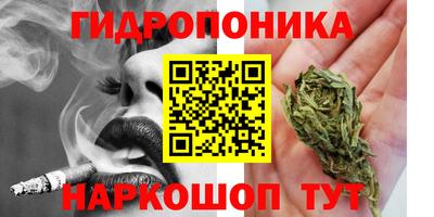 винт Будённовск